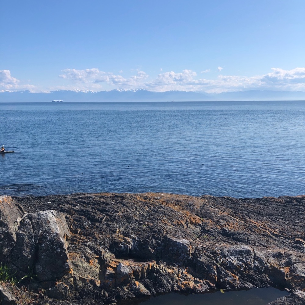 Meet your Posher, Olivia